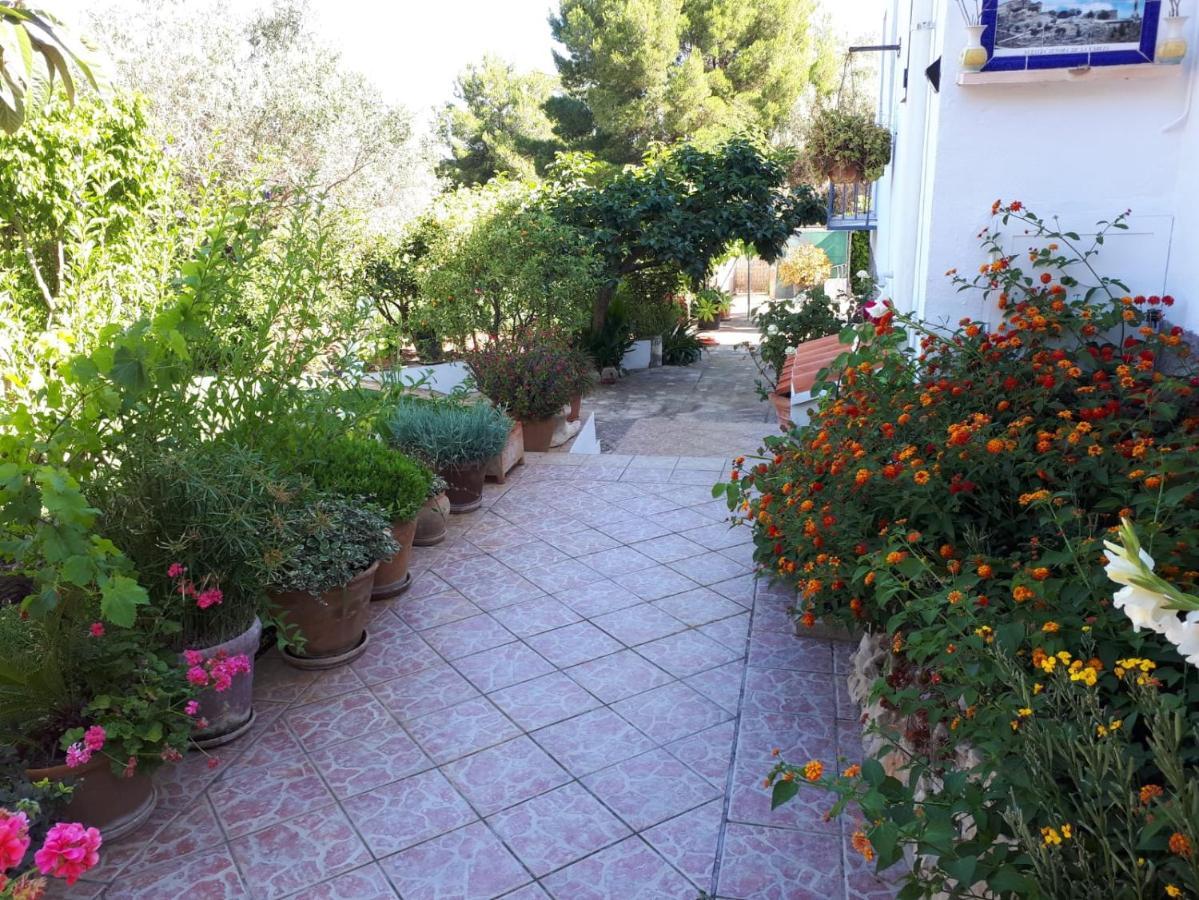 Villa Paradyse. Private pool&garden. In a natural park for 7. Jávea Exterior foto