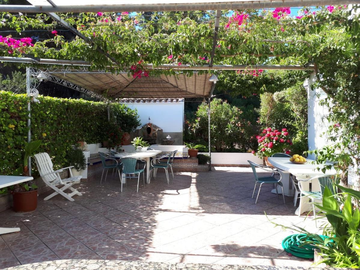 Villa Paradyse. Private pool&garden. In a natural park for 7. Jávea Exterior foto